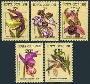 Russia 5994-5998 sheets,MNH.Michel 6192-6196 bogens. Orchids 1991.