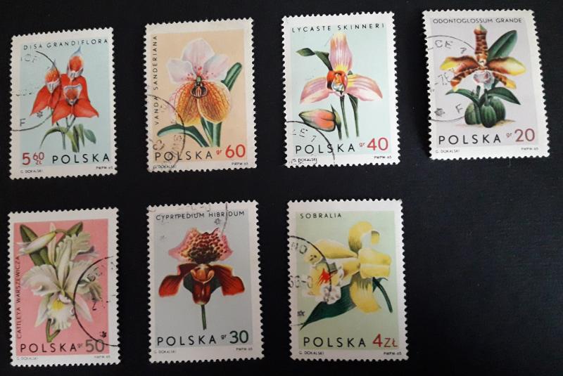 Flowers, Europe, Poland, №26-T