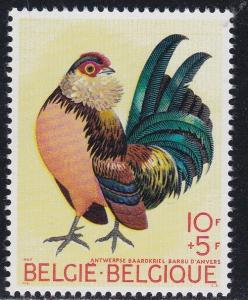 Belgium # B850, Bantam Rooster, NH, 1/2 Cat