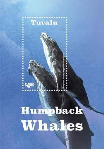 Tuvalu 2015 - Humpback whales Marine Life - Souvenir Stamp Sheet - MNH