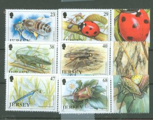 Jersey #1035-1040  Single (Complete Set)