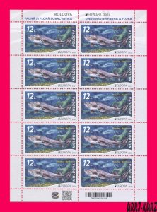 MOLDOVA 2024 Europa CEPT Underwater Fauna River Fish Sturgeon Huso Beluga ms MNH