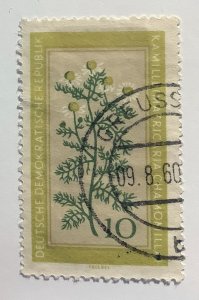 Germany DDR 1960 Scott 495 used - 10pf, Medicinal plants,  Chamomile