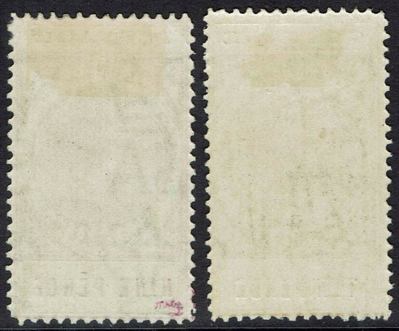 SOUTH AUSTRALIA 1902 QV THIN POSTAGE 9D AND 10D 