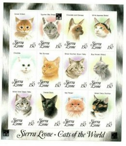 Sierra Leone MNH S/S 1643 Cats Of The World 12 Stamps