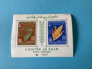 Afghanistan 1963 Mint Never Hinged Mini Stamp Sheet  Stamps R46145 