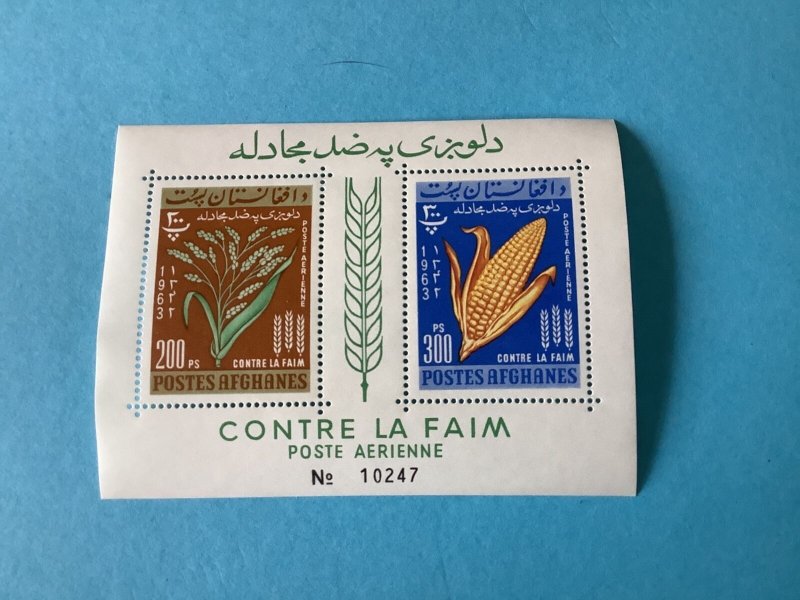 Afghanistan 1963 Mint Never Hinged Mini Stamp Sheet  Stamps R46145 