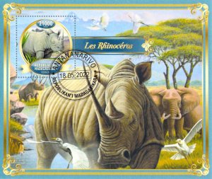 Madagascar 2022 Sheet  Rhinoceros Rhino animal 1 value (TS0103)