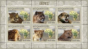 MOZAMBIQUE - 2007 - Lions - Perf 6v Sheet - Mint Never Hinged