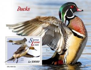 SIERRA LEONE - 2019 - Ducks - Perf Souv Sheet - MNH