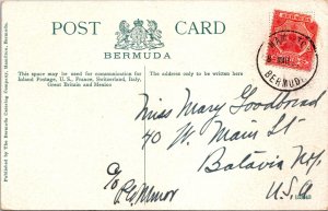 Bermuda 19xx - Postcard - Hamilton - F34626