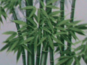 ​CHINA-1993 SC# 2448a    PANDA HOLOGRAM OVPT. HONG KONG'96 STAMP SHOW S/S