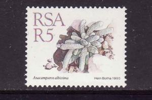 South Africa-Sc#753-unused NH 5r anacampseros albissima