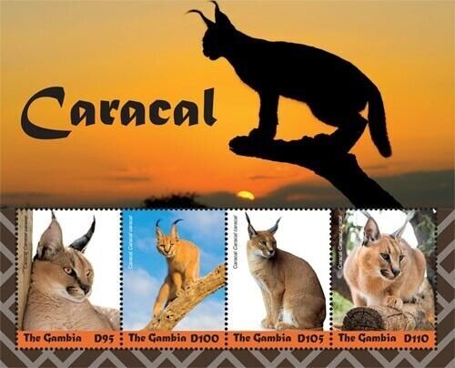 Gambia 2019 - Caracal - Animals - Sheet of 4 Stamps - MNH