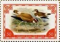 GRAND KASAI, CONGO - 2012 - Desert Finch - Imperf Single Stamp-MNH-Private Issue