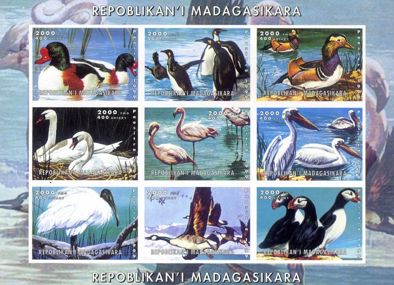 Madagascar 1999 BIRDS DUCKS Sheet Imperforated Mint (NH)