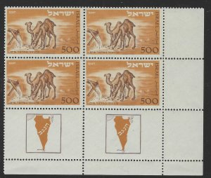 ISRAEL NEGEV CAMEL (24-03 #127)