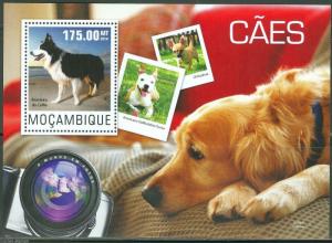 MOZAMBIQUE  2014  DOGS  SOUVENIR SHEET   MINT NH