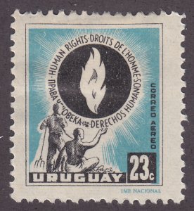 Uruguay C179 Declaration of Human Rights 1958