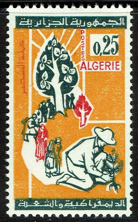 Algeria #334  MNH - Reforestation Campaign (1964)