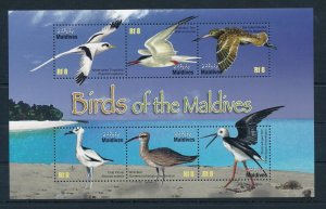 [35919] Maldives 2010 Birds Oiseaux�Uccelli  Miniature Sheet MNH