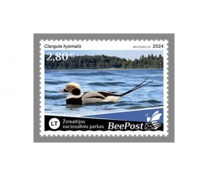 LITHUANIA BEEPOST 2024 MNH Birds, Žemaitija National Park 1v #19a