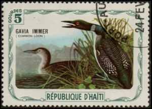 Haiti zzz1 (Unlisted) - Cto - 5g Common Loon (1975)