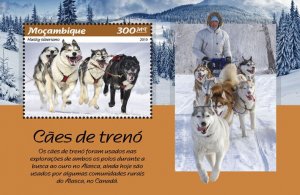 Mozambique 2019 MNH Sled Dogs Stamps Siberian Husky Dog 1v S/S