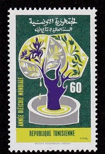 Tunisia # 570, International Olive Year, Mint NH