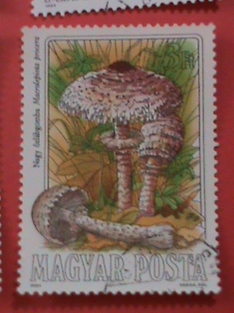 HUNGARY STAMP: COLORFUL BEAUTIFUL LOVELY MUSHROOM USED STAMPS SET.LARGE STAMPS.