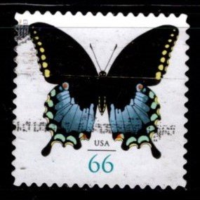 #4736 Spicebush Swallowtail Butterfly (Off Paper) - Used