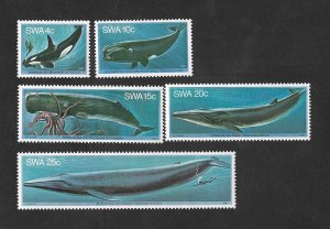 SD)1980 SOUTHWEST AFRICA MARINE LIFE, WHALES, ORCINUS ORCA, SOUTHERN WHALE, Spe