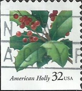 # 3177 USED HOLLY