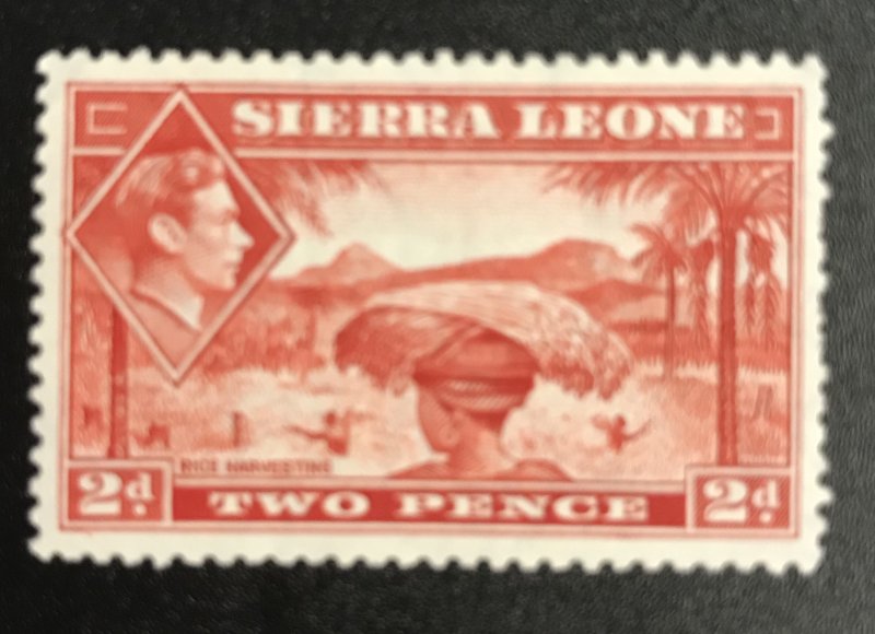 Sierra Leone Scott # 176A MNH