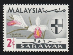 229  flower , Malaysia - Sarawak - MH