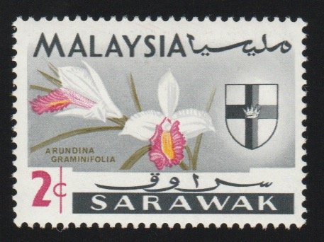 229  flower , Malaysia - Sarawak - MH