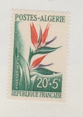 Algeria Scott #B95 Stamp  - Mint Single