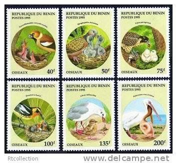 Benin 1995 Birds feeding their chicks Animal Oiseaux Fauna Stamps MNH SG 1321-26