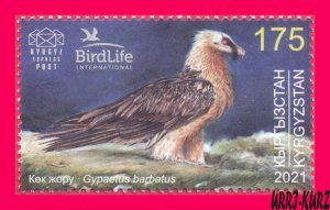 KYRGYZSTAN 2021 Nature Fauna Predatory Bird Raptor Bearded Vulture Hawk 1v MNH