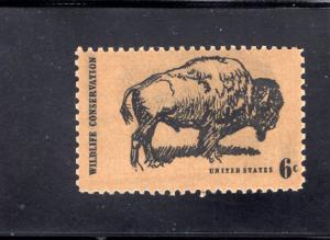 1392 Bison, MNH