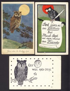 Bird - Owl - Check it out