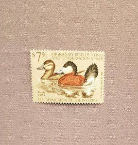 RW48, Ruddy Ducks, Mint, OGNH, CV $28.00