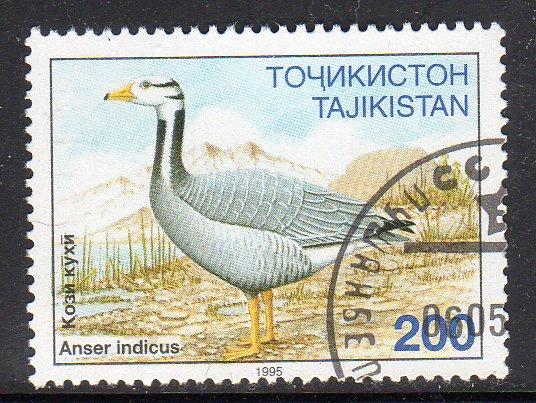 Tajikistan 89 - CTO-NH - Bar-headed Goose (cv $1.25)