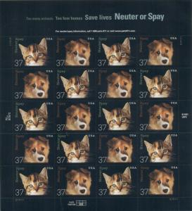 US: 2002 NEUTER OR SPAY; DOG CAT; Sc 3670-71; Sheet, 37 Cents Values