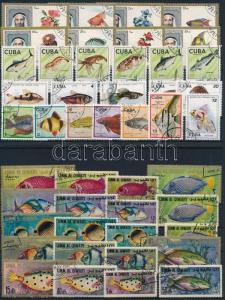 Thematic lot stamp Fishes 92 stamps+1 block Used WS224162