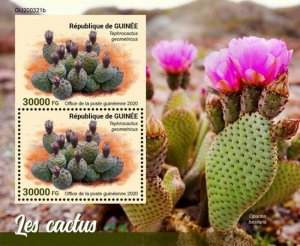 Guinea - 2020 Cactus Plants, Tephrocactus - 2 Stamp Souvenir Sheet - GU200321b