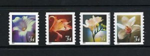 US Scott # 3478 - 3481 / Set of Four .34 Coil Flowers, 2001 MNH