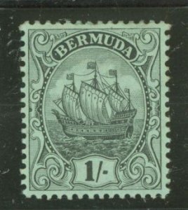 Bermuda #48  Single
