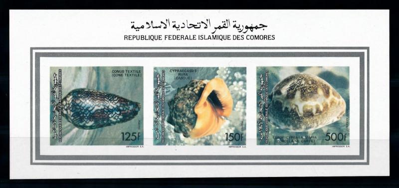 [75713] Comores 1992 Marine Life Seashells Imperf. Sheet MNH