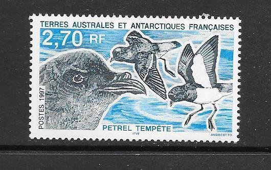 BIRDS - FRENCH SOUTHERN ANTARCTIC TERRITORY #223  MNH